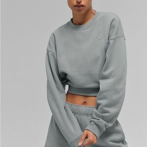 NWT ALO Yoga cropped accolade crewneck. Size M. Lunar gray.